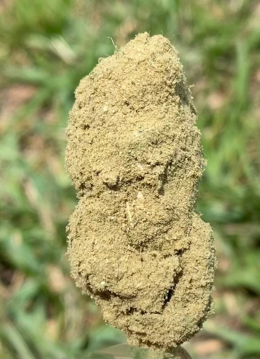 CBD flower wholesale