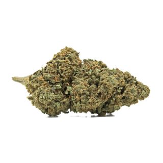 Where to buy cbd weed bulk