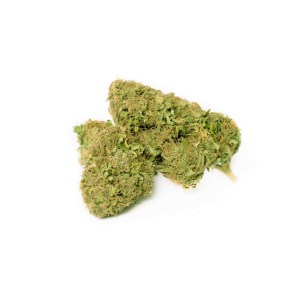 CBD Flower Wholesale Europe