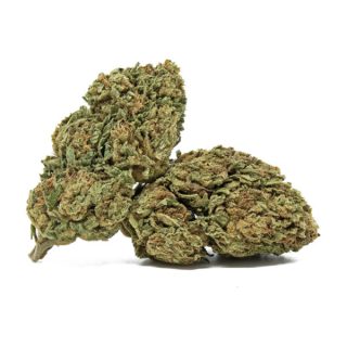 wholesale cbd flower canada