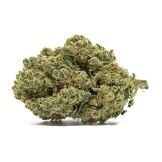 cbd shop jena