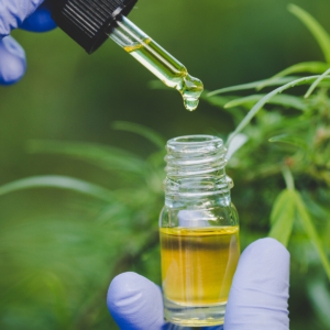 CBD flower for sale
