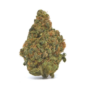 Buy cbd flower bulk at cheap prices