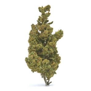 bulk hemp flower
