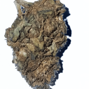 buy cbd buds uk
