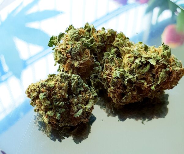 gorilla grip strain