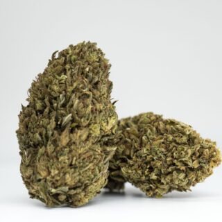 Buy Blue Breeze CBD flowers online from CHERRYWIFARM®